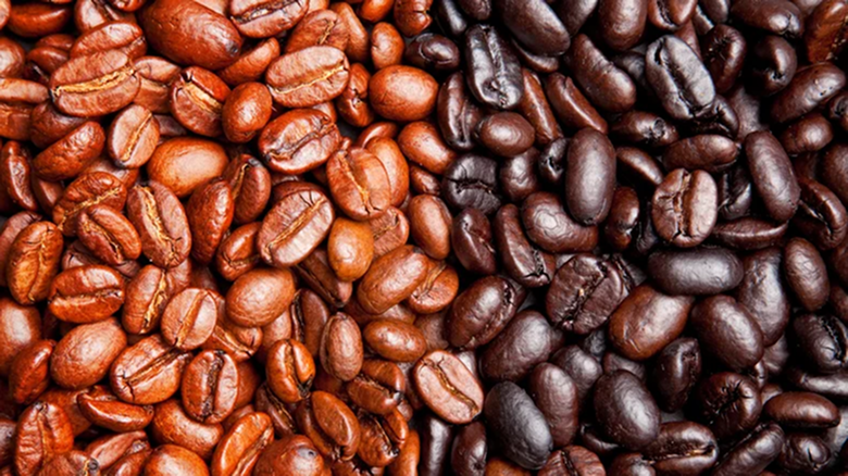 Medium Roast vs Dark Roast: What's the Real Difference?